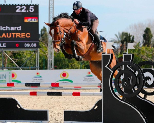 jumper S.I.E.C. Lautrec (Oldenburg show jumper, 2011, from Livello)