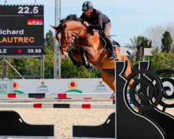 jumper S.I.E.C. Lautrec (Oldenburg show jumper, 2011, from Livello)