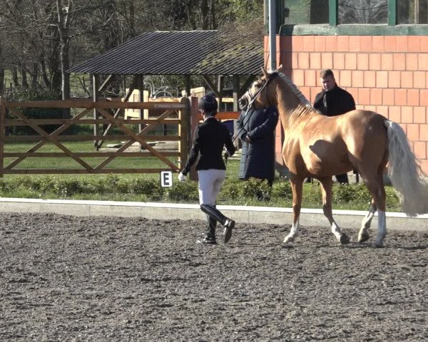 Reitturnier Schwanewede 2022