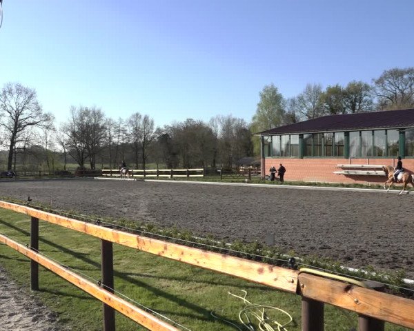 Reitturnier Schwanewede 2022