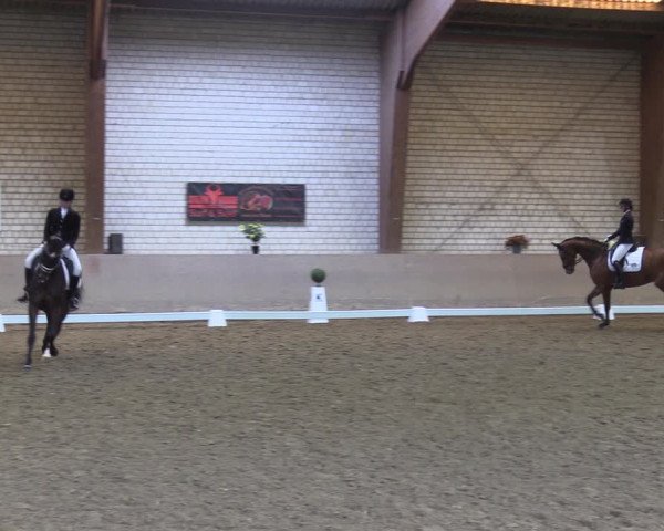 Reitturnier Kamen 2022