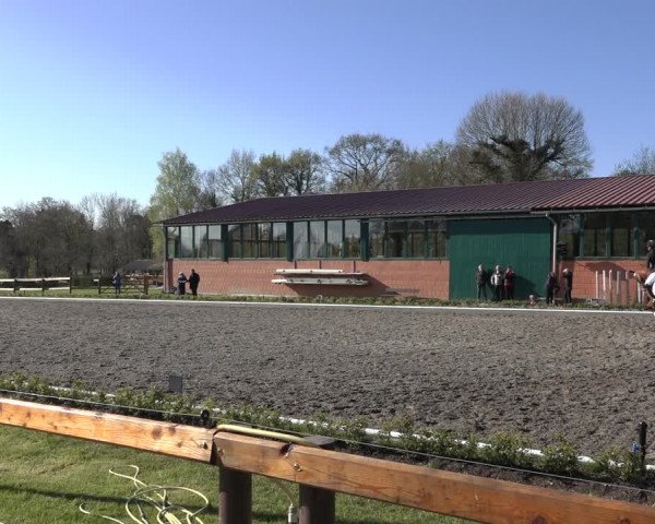 Reitturnier Schwanewede 2022