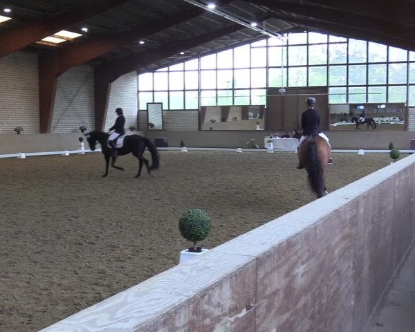 Reitturnier Kamen 2022
