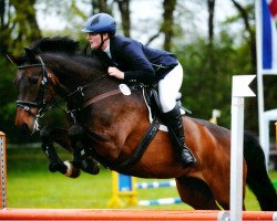 broodmare Titzia 5 (Holsteiner, 2003, from Caretino)