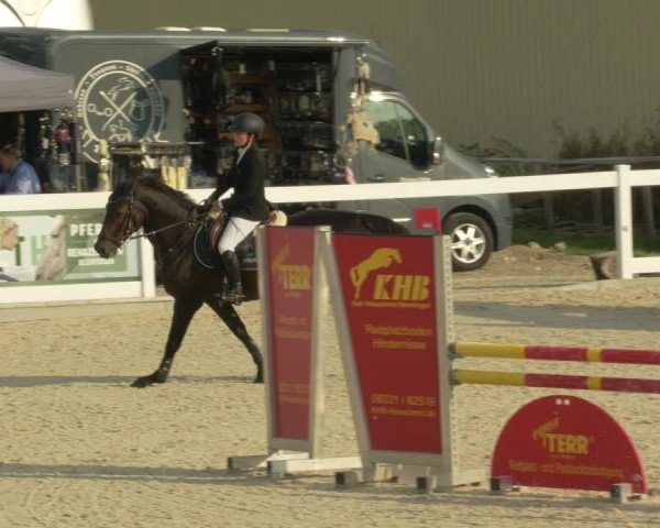 Springturnier Memmingen 2021