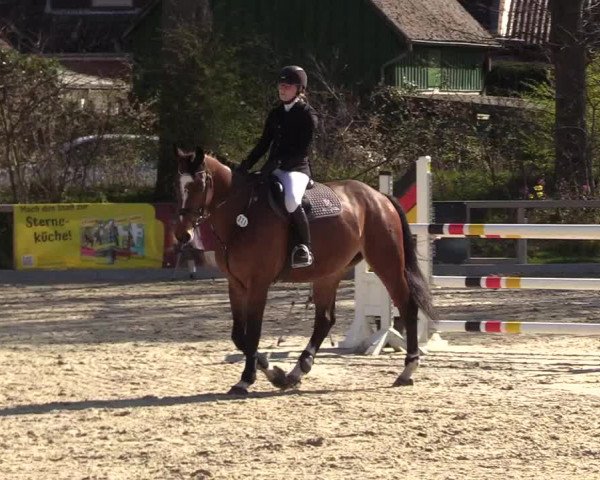 Reitturnier Kropp 2022