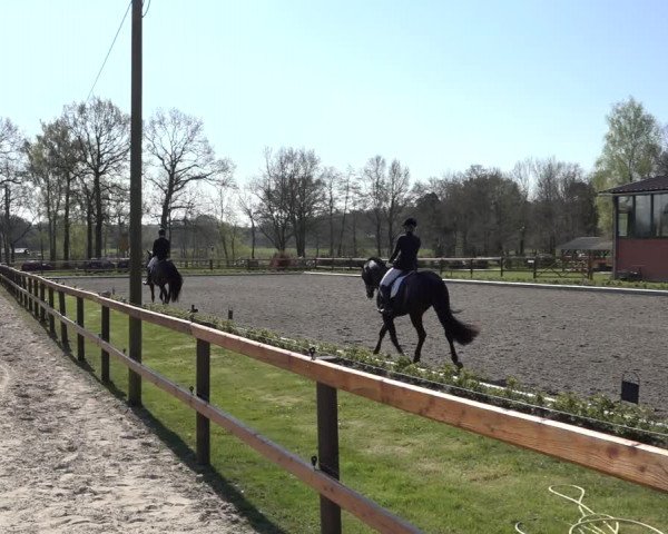 Reitturnier Schwanewede 2022