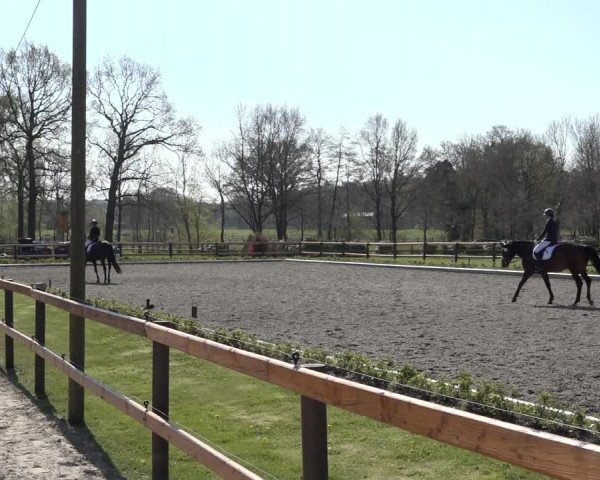 Reitturnier Schwanewede 2022