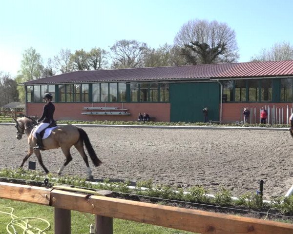 Reitturnier Schwanewede 2022