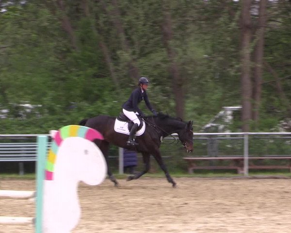 Reitturnier Kamen 2022