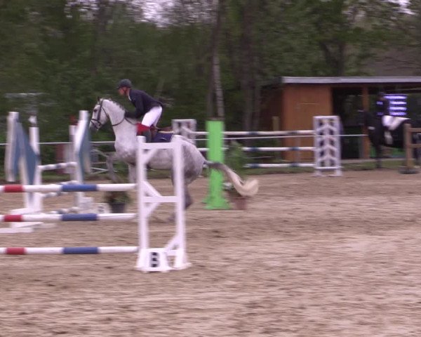 Reitturnier Kamen 2022