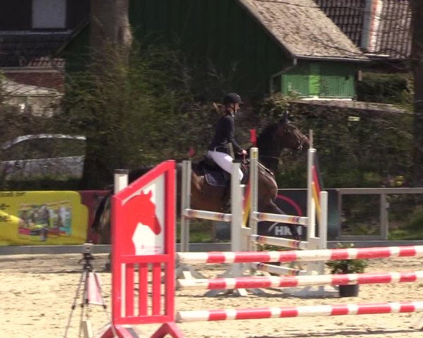 Reitturnier Kropp 2022