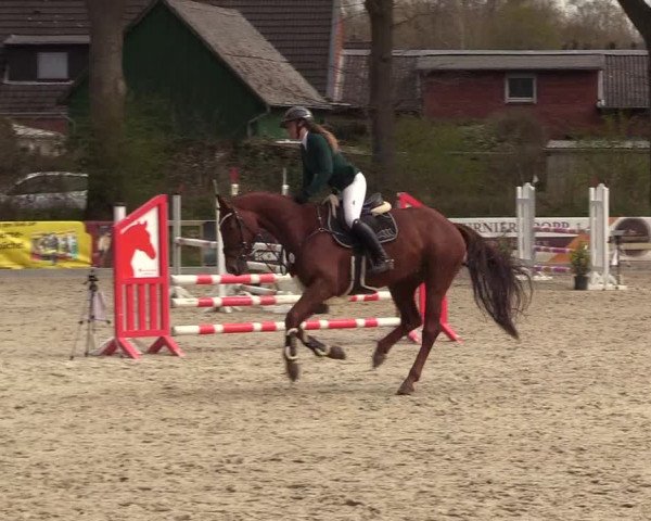 Reitturnier Kropp 2022