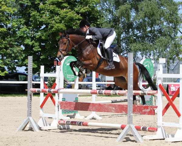 broodmare Graceful Countess (Rhinelander, 2007, from Grafenstolz)