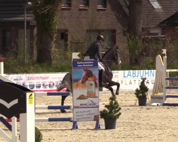 Reitturnier Kropp 2022