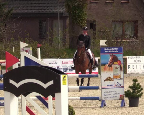 Reitturnier Kropp 2022