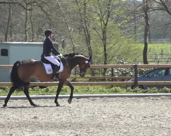Reitturnier Schwanewede 2022
