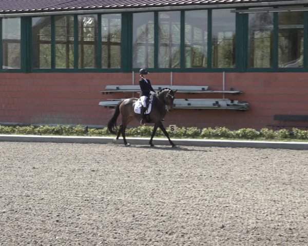 Reitturnier Schwanewede 2022