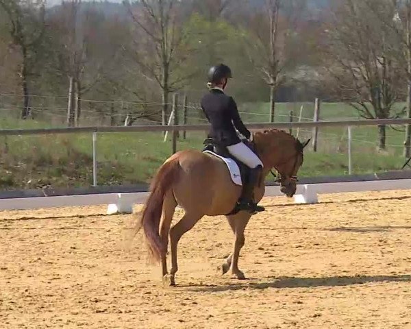 Reitturnier Altentrüdingen/Mfr. 2022