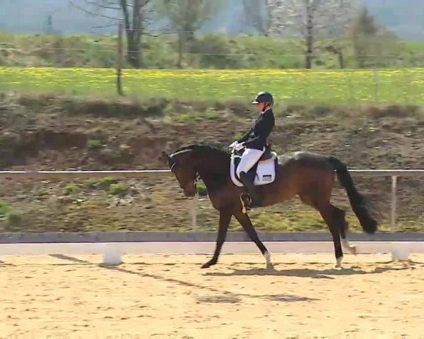 Reitturnier Altentrüdingen/Mfr. 2022