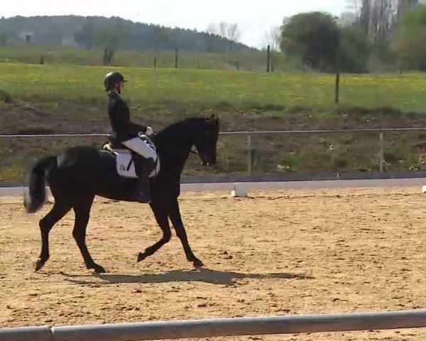 Reitturnier Altentrüdingen/Mfr. 2022