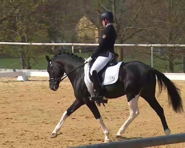 Reitturnier Altentrüdingen/Mfr. 2022