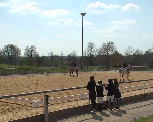Reitturnier Altentrüdingen/Mfr. 2022