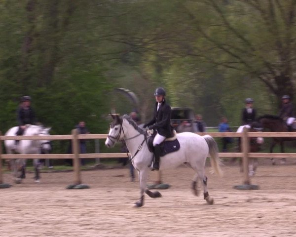 Reitturnier Kamen 2022