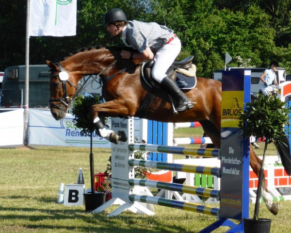 Pferd Athara (Holsteiner, 2008, von Carpaccio)
