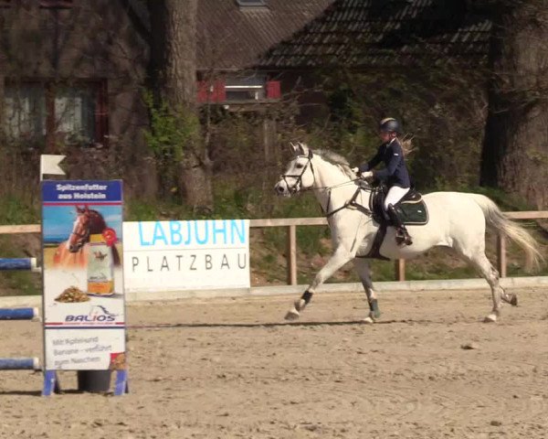 Reitturnier Kropp 2022