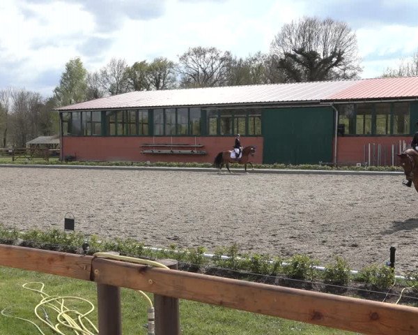 Reitturnier Schwanewede 2022