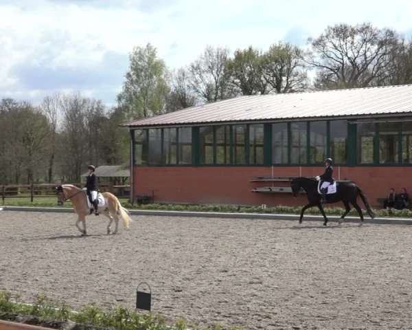 Reitturnier Schwanewede 2022