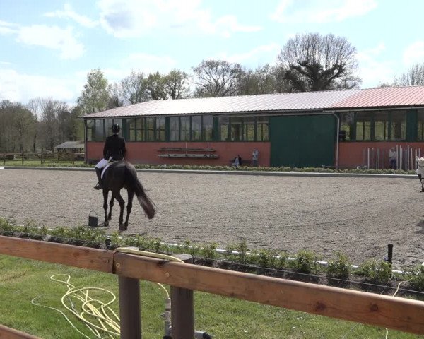 Reitturnier Schwanewede 2022