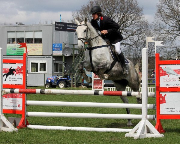Springpferd Lillifee (Deutsches Reitpferd, 2006, von Cyper Space)