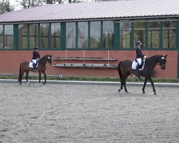 Reitturnier Schwanewede 2022