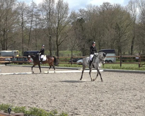 Reitturnier Schwanewede 2022