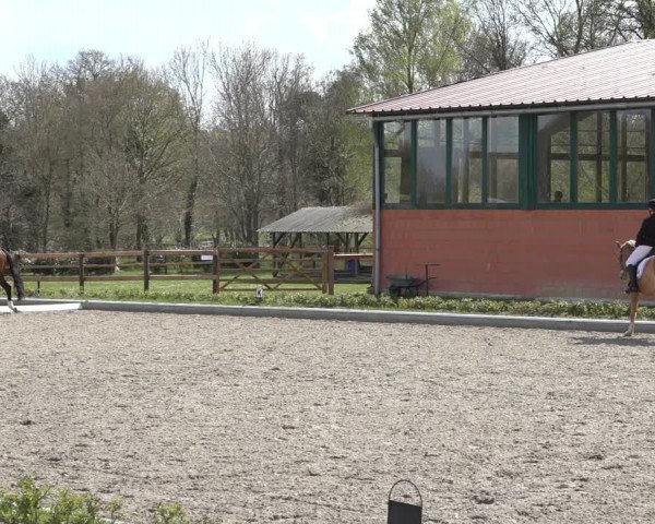 Reitturnier Schwanewede 2022