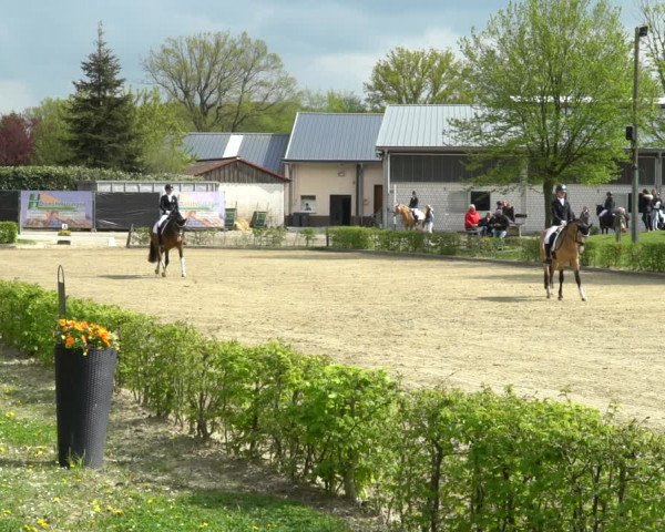Pony- und Juniorenturnier Olfen-Vinnum 2022