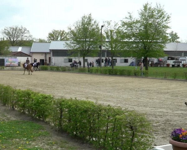 Pony- und Juniorenturnier Olfen-Vinnum 2022