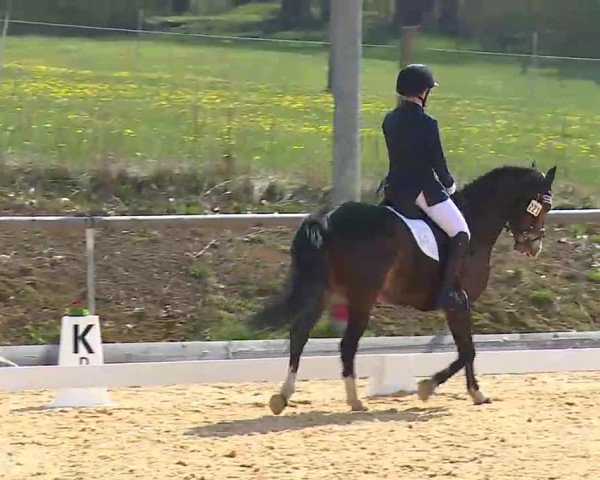 Reitturnier Altentrüdingen/Mfr. 2022