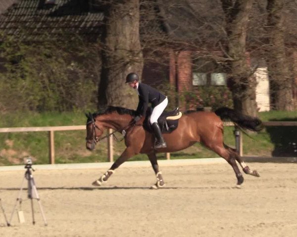 Reitturnier Kropp 2022
