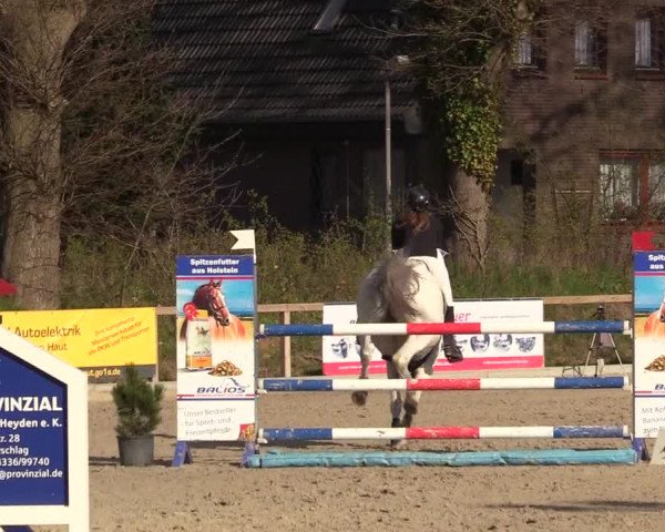 Reitturnier Kropp 2022