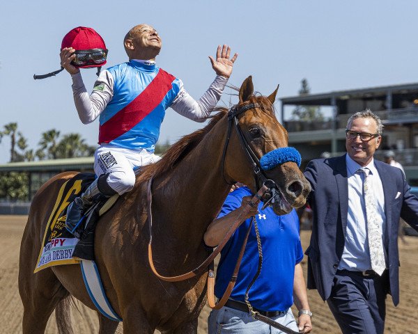 Deckhengst Taiba xx (Englisches Vollblut, 2019, von Gun Runner xx)