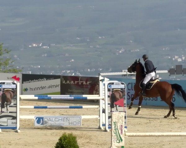 Reitturnier Wädenswil 2022