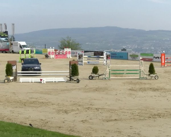 Reitturnier Wädenswil 2022