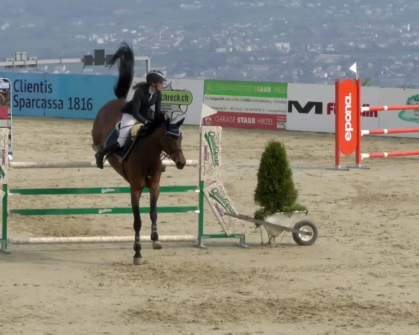 Reitturnier Wädenswil 2022