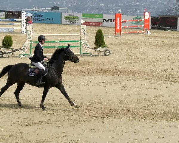 Reitturnier Wädenswil 2022