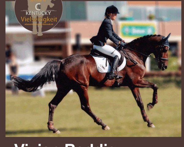 jumper Caynoa (Oldenburg, 2005, from Carry Gold)