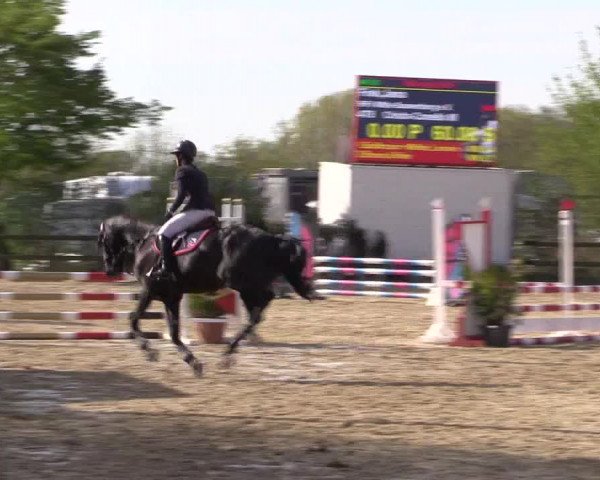 Reitturnier Nienberge 2022