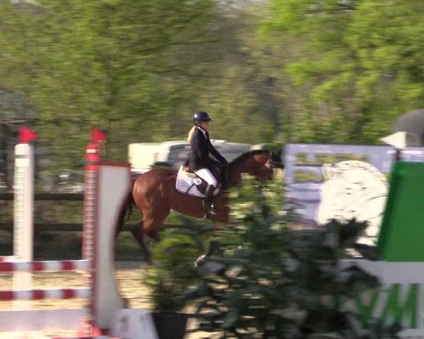 Reitturnier Nienberge 2022